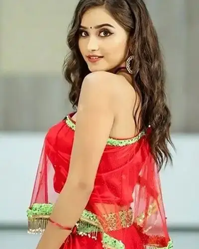 Call Girls Service Palayamkottai